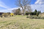 HORN IMMOBILIEN ++ Einfamilienhaus in Tantow mit Einbauküche, Garage und großem Grundstück - Einfamilienhaus Tantow | Angebot:24299209