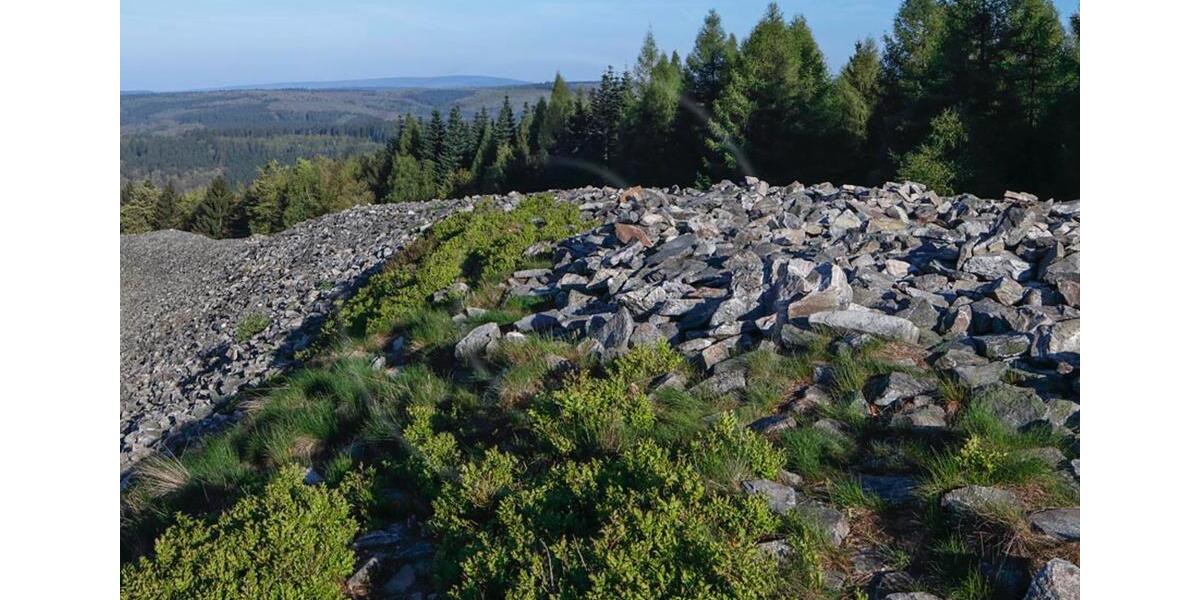 Etagenwohnung Nonnweiler - 2 Zimmer, 56 m&sup2;, 490&euro; | Angebot:25221729