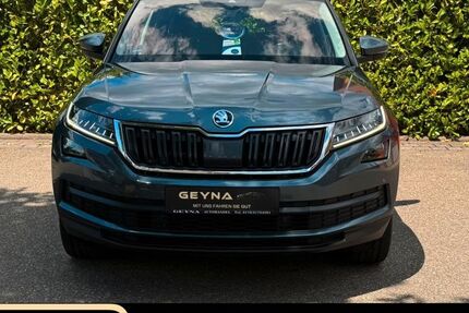 Skoda Kodiaq 189.000 km 19.499 &euro; Ehrenkirchen 79238