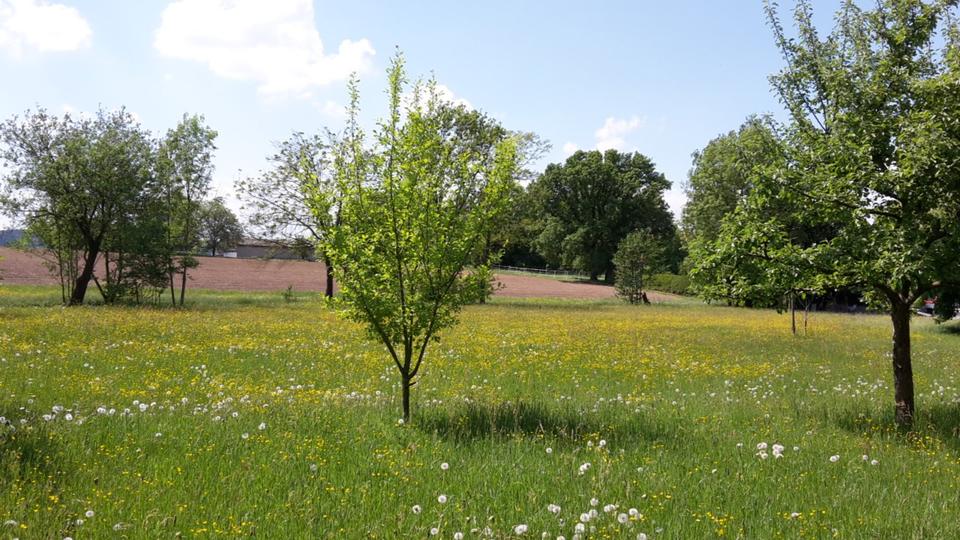 Bauernhaus, Landhaus Felsberg - 9 Zimmer, 300 m&sup2;, 354.000&euro; | Angebot:25225011