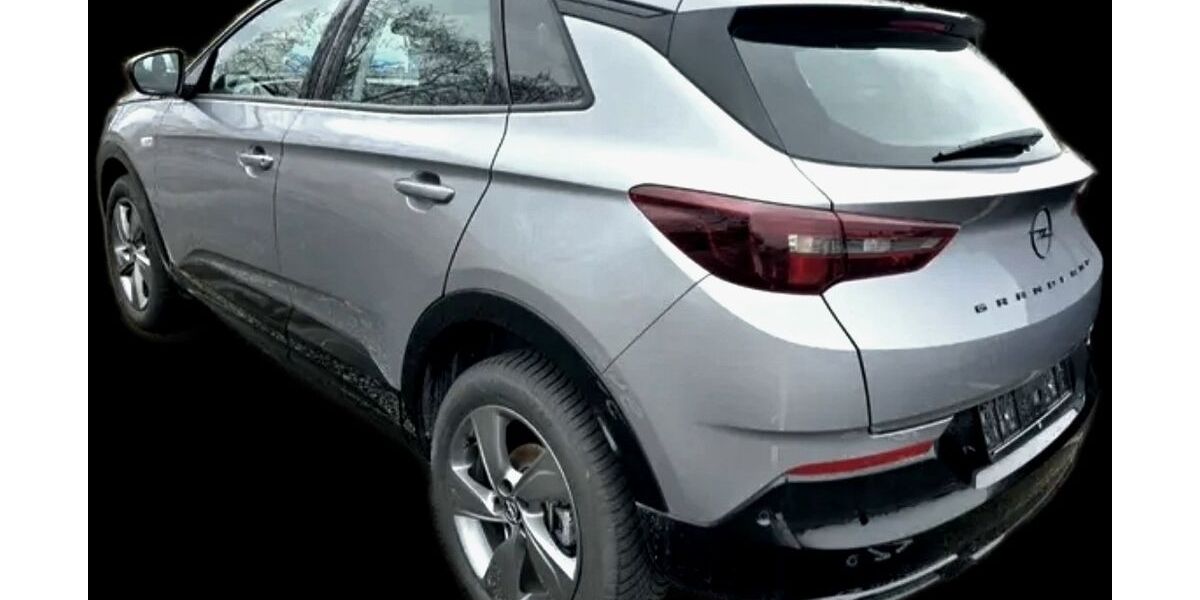 Opel Grandland (X) 16.900 km 21.985 &euro; Nierstein 55283