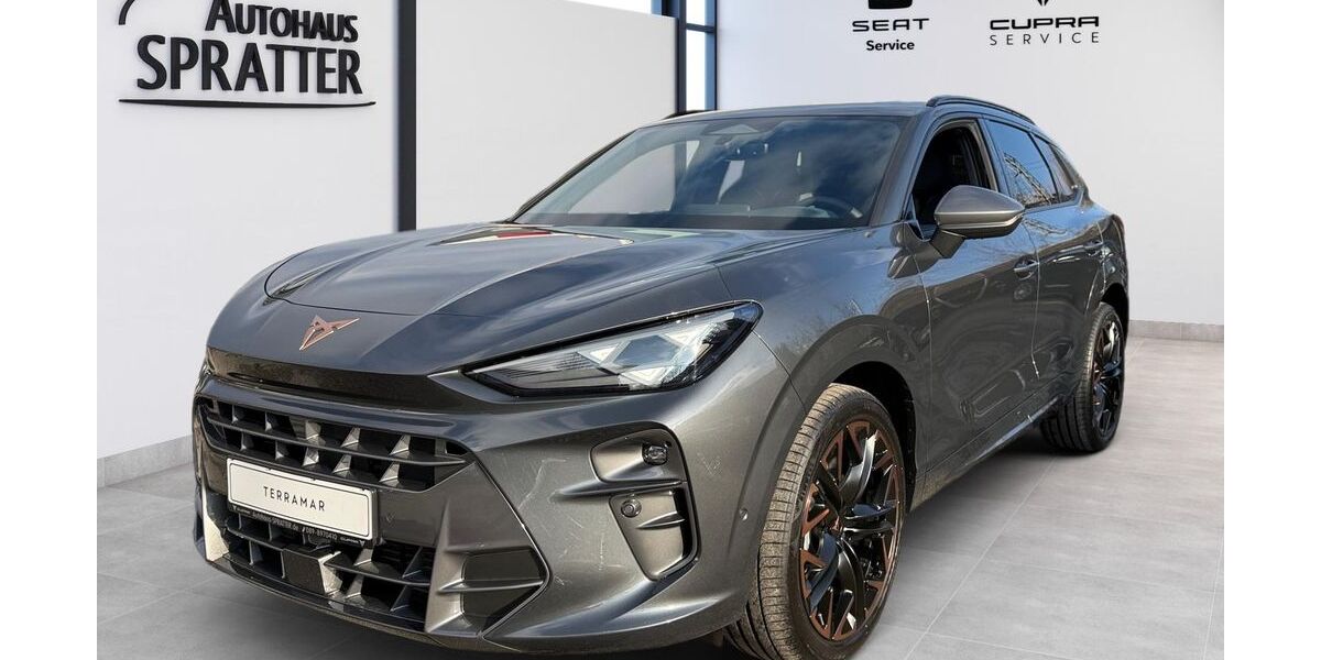 Cupra Terramar 1.200 km 41.990 € München 81249
