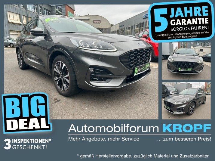 Kuga