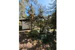 Bungalow Schorfheide - 30.000&euro; | Angebot:27043126
