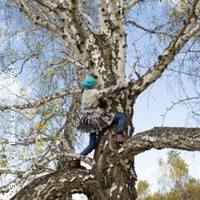 Als die Großen den Wald zerstörten 15.11.2025 THEATER LÜBECK