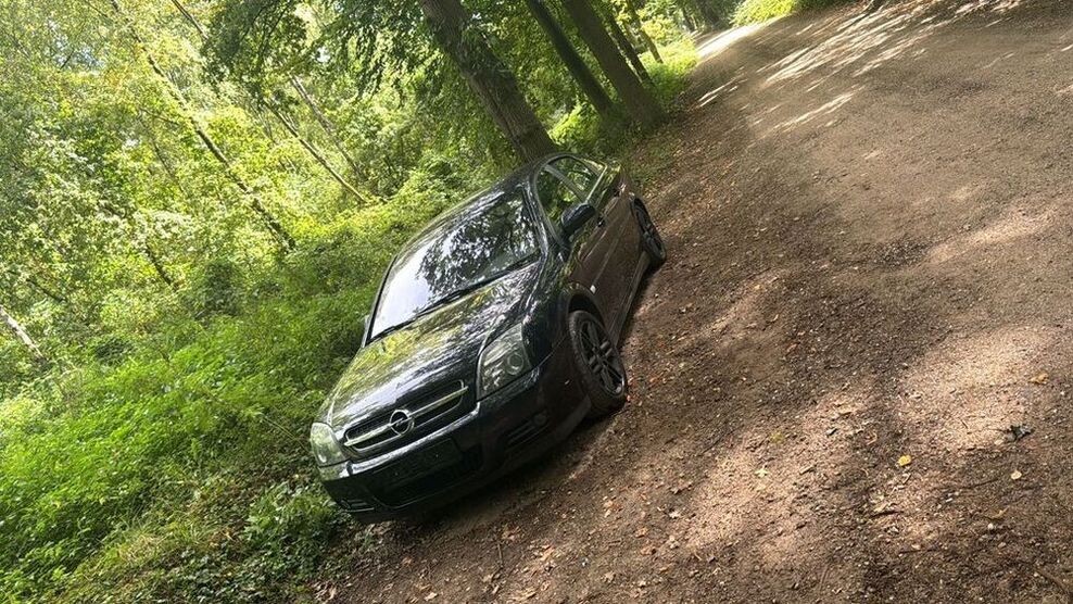Vectra