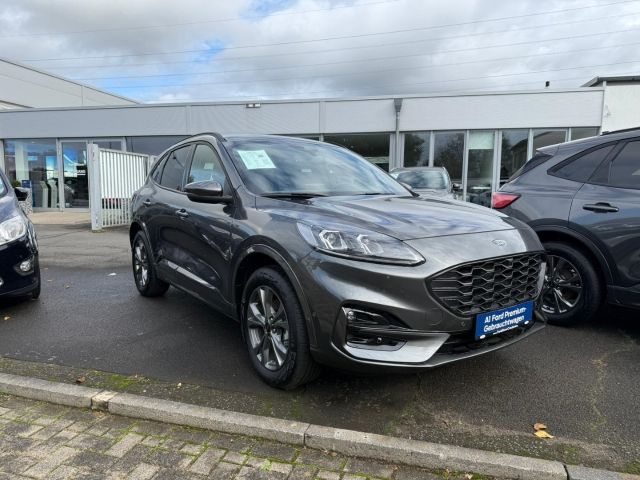 Kuga