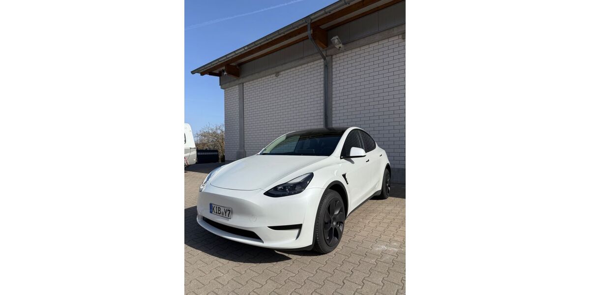 Tesla Model Y 71.150 km 31.500 &euro; Dannenfels 67814
