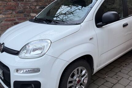 Fiat Panda 54.500 km 5.999 &euro; Pulheim 50259