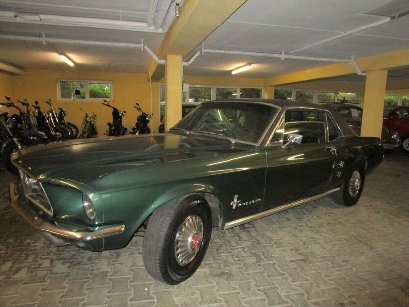 Mustang