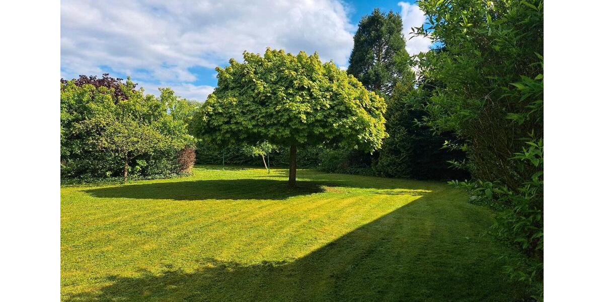 Mehrfamilienhaus, Wohnhaus Hankensbüttel - 12 Zimmer, 220 m&sup2;, 185.000&euro; | Angebot:26875547