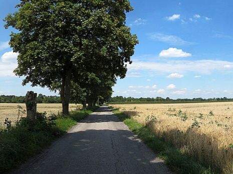 Reihenendhaus Olching - 5 Zimmer, 131 m&sup2;, 1.035.000&euro; | Angebot:24791659