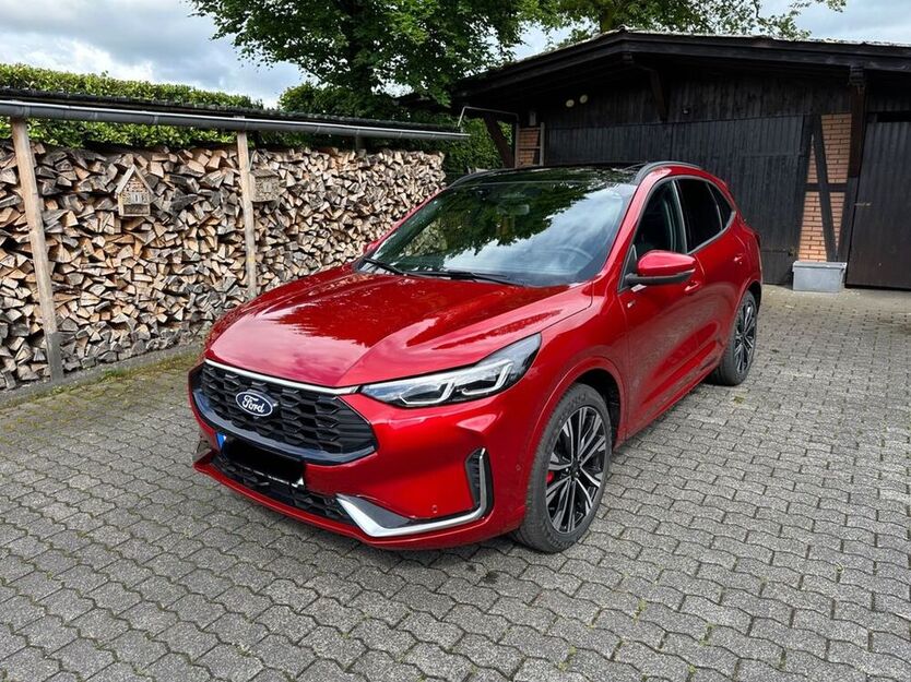 Kuga