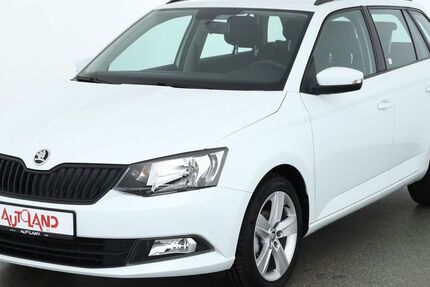 Skoda Fabia 54.529 km 13.990 &euro; Wietmarschen 49835