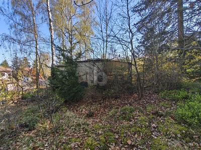 RUHE UND NATUR PUR - RÜCKZUGSIDYLLE - Grundstück Luisenthal | Angebot:26464549