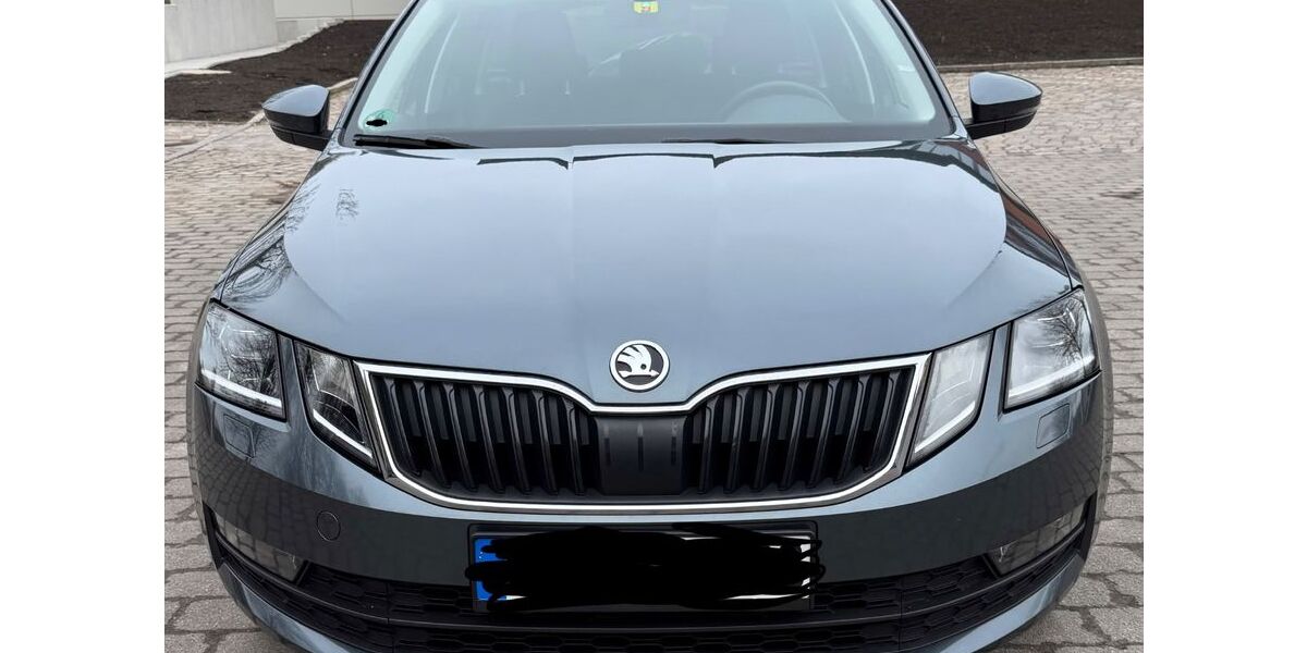 Skoda Octavia 118.500 km 17.200 &euro; Altenholz 24161