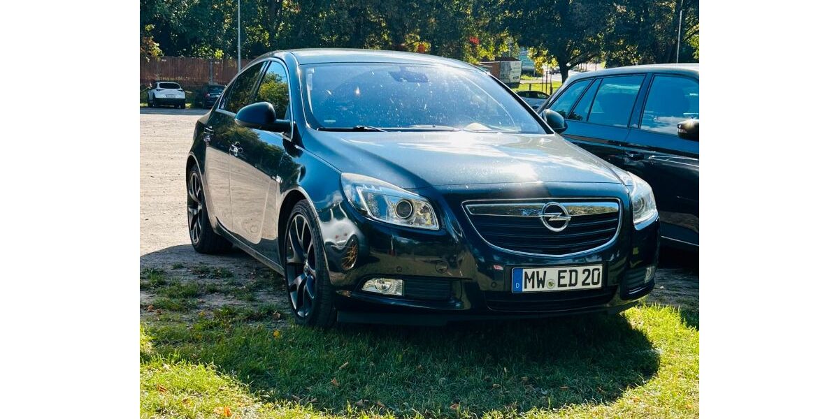 Opel Insignia 255.267 km 3.000 &euro; Wechselburg 09306