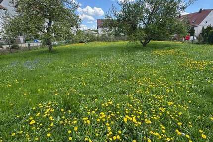 Haus Bad Boll - 4 Zimmer, 113 m&sup2;, 477.629&euro; | Angebot:26501481