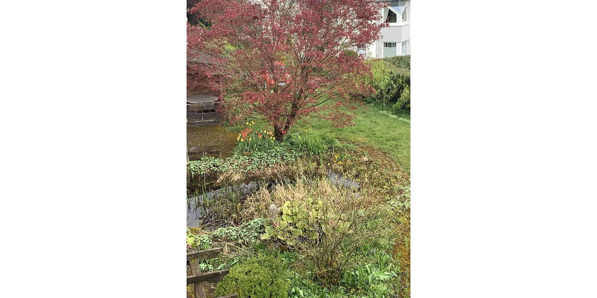 Mehrfamilienhaus, Wohnhaus Brilon - 7 Zimmer, 166 m&sup2;, 349.000&euro; | Angebot:26306504