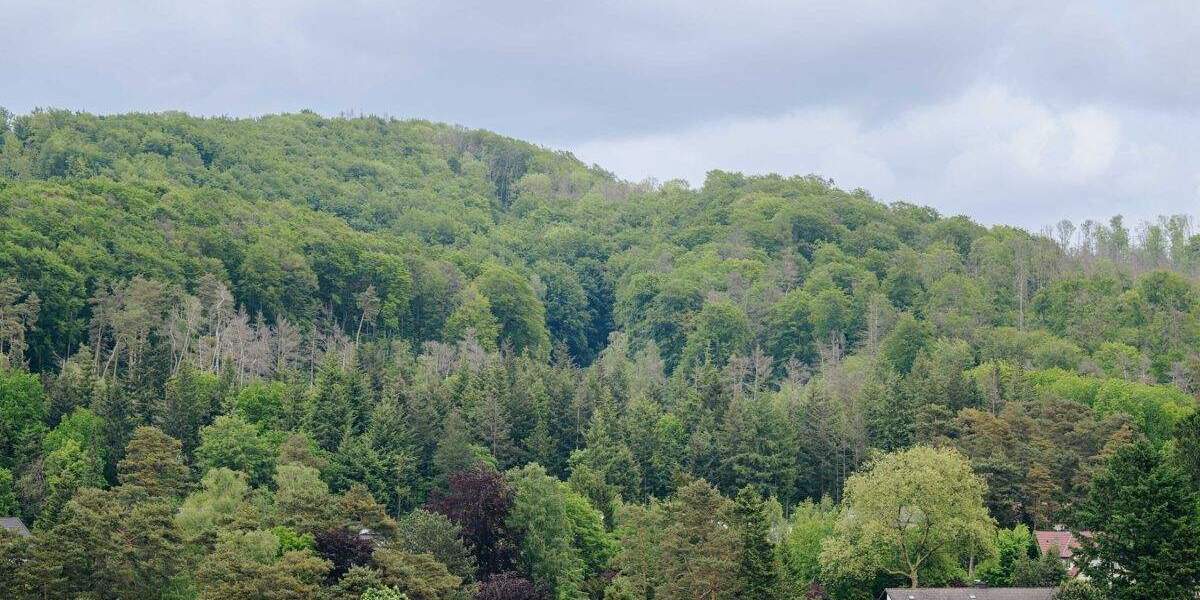 Etagenwohnung Bielefeld / Senne Senne - 2 Zimmer, 83 m&sup2;, 373.800&euro; | Angebot:25468226