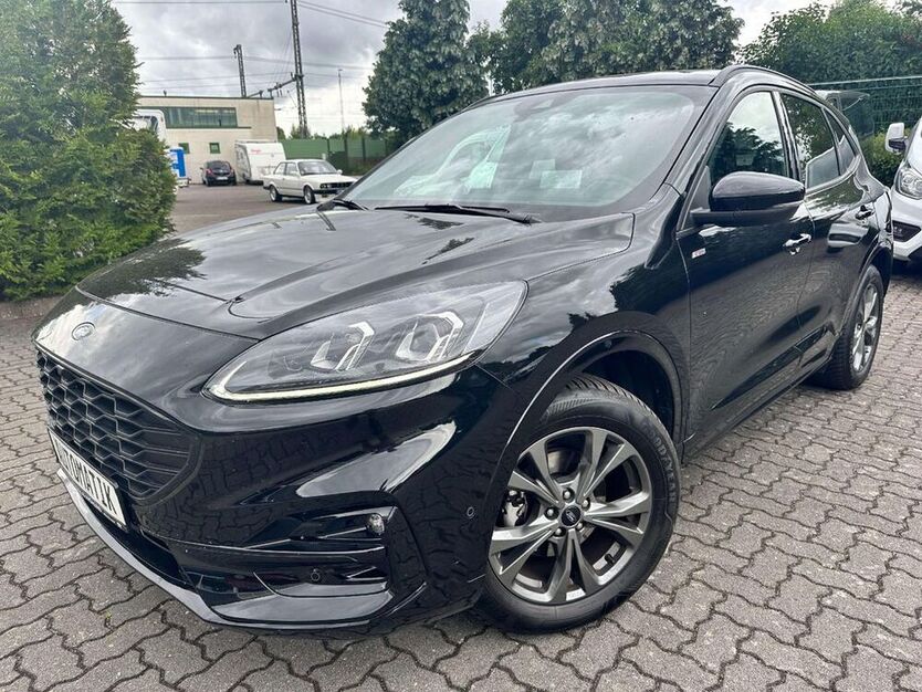 Kuga