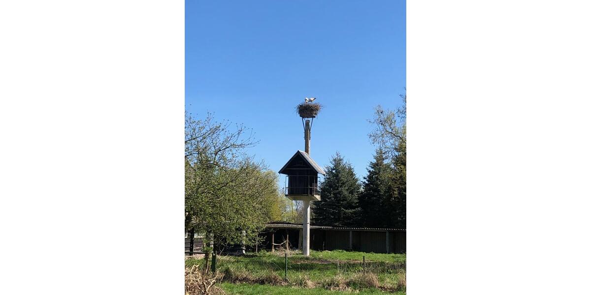 Einfamilienhaus Ducherow - 5 Zimmer, 190 m&sup2;, 119.000&euro; | Angebot:26291554