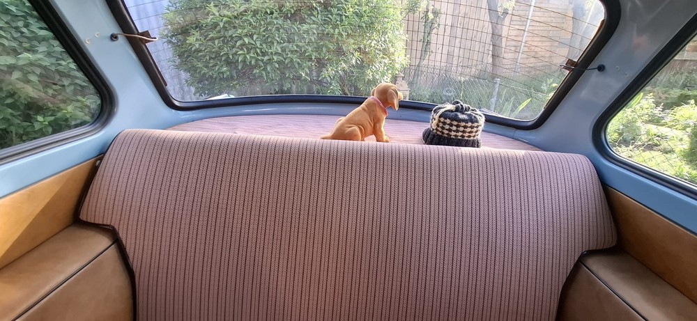 Trabant 601 82.000 km 7.500 &euro; Ingoldingen 88456