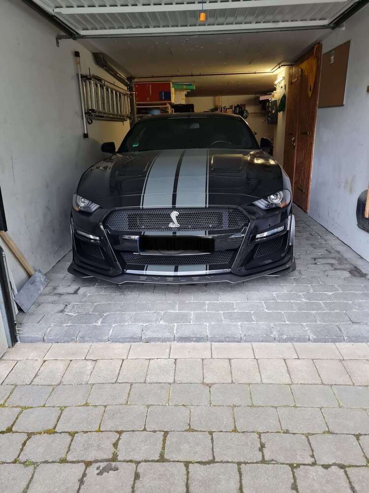 Mustang
