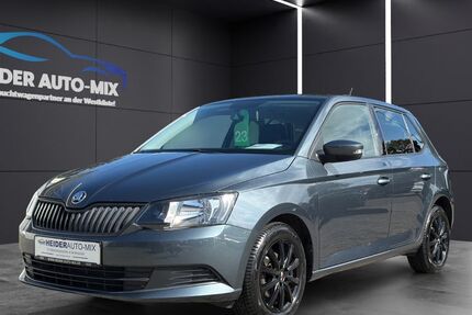 Skoda Fabia 64.800 km 8.999 € Heide 25746