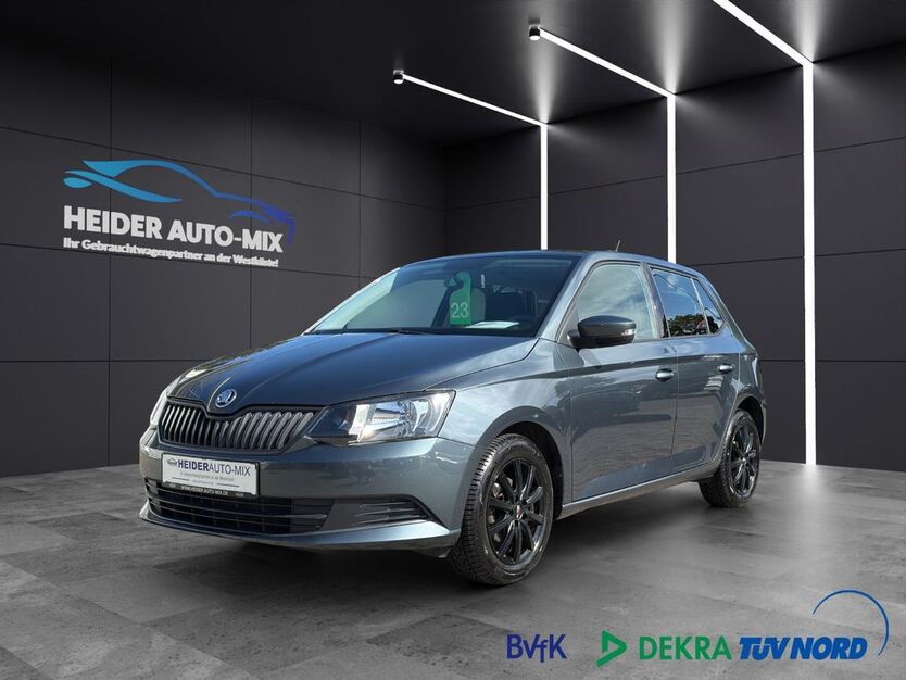 Skoda Fabia 64.800 km 8.999 € Heide 25746