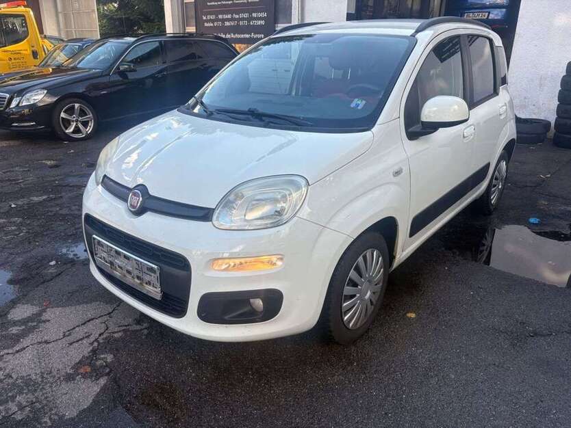 New Panda