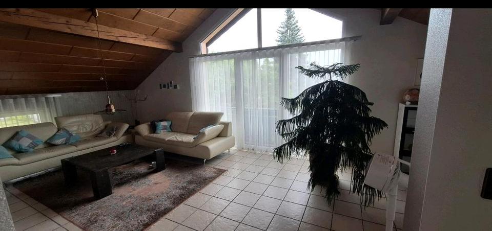 Mehrfamilienhaus, Wohnhaus Erbach - 11 Zimmer, 312 m&sup2;, 460.000&euro; | Angebot:25851791