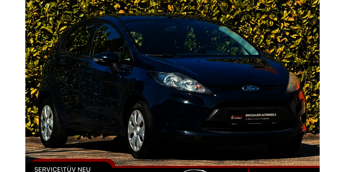 Ford Fiesta 154.000 km 5.499 &euro; Ehrenkirchen 79238