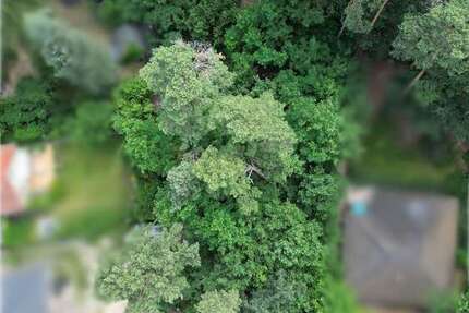 Grundstück Rangsdorf - 350.000&euro; | Angebot:21296879