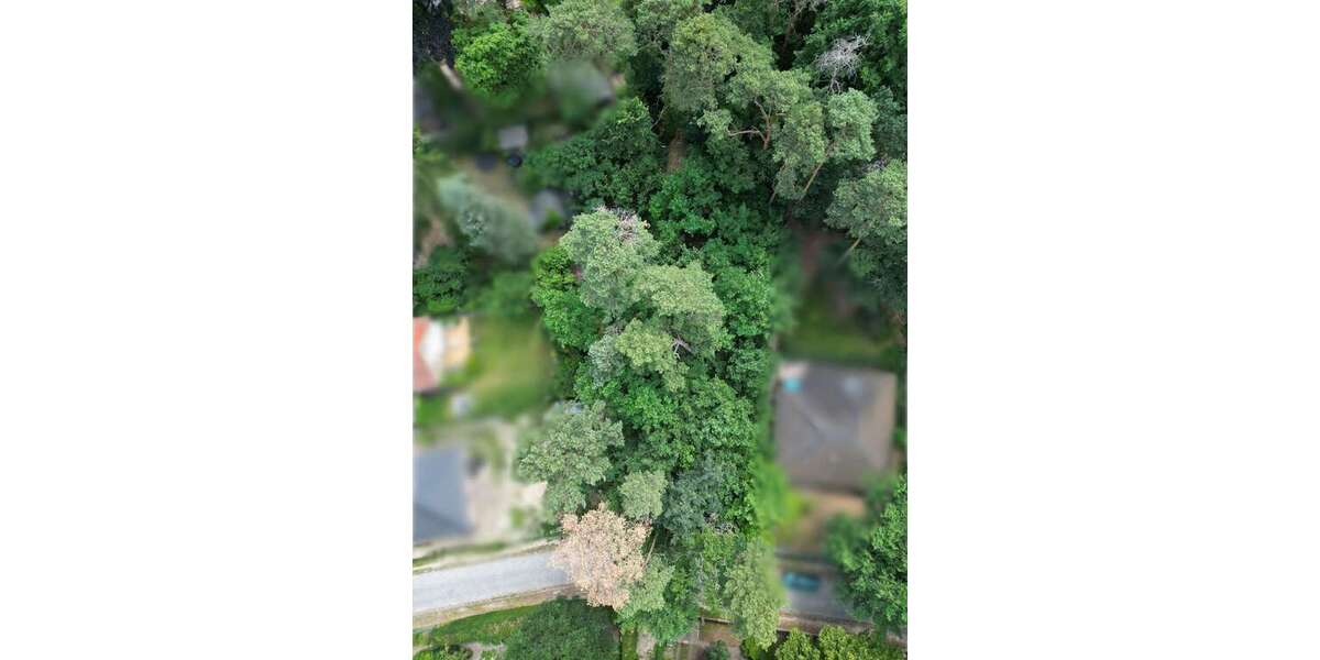 Grundstück Rangsdorf - 350.000&euro; | Angebot:21296879