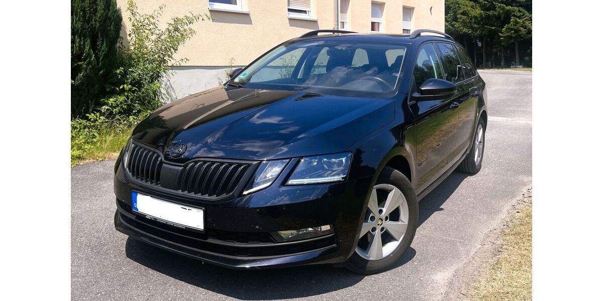 Skoda Octavia 182.000 km 11.490 &euro; Breitenbrunn 08359