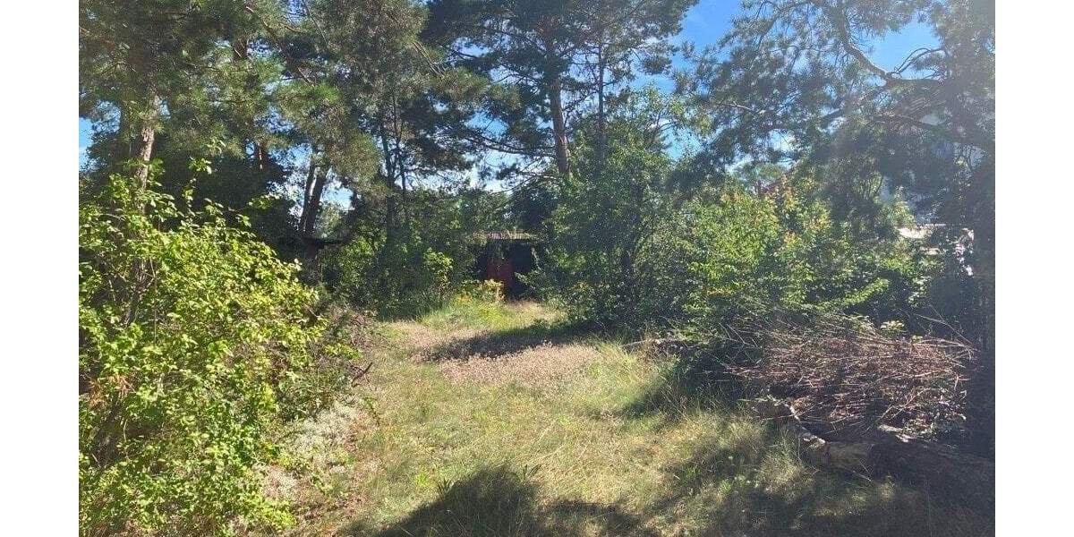 Grundstück Fredersdorf-Vogelsdorf Vogelsdorf - 290.000&euro; | Angebot:25629908