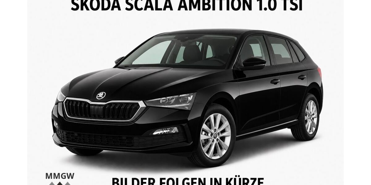 Skoda Scala 73.829 km 17.490 &euro; Bensheim 64625