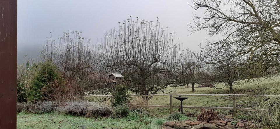 Bungalow Bad Bocklet - 3 Zimmer, 100 m&sup2;, 390.000&euro; | Angebot:24294383