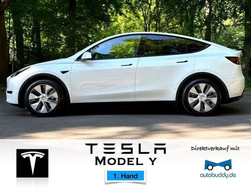 Model Y