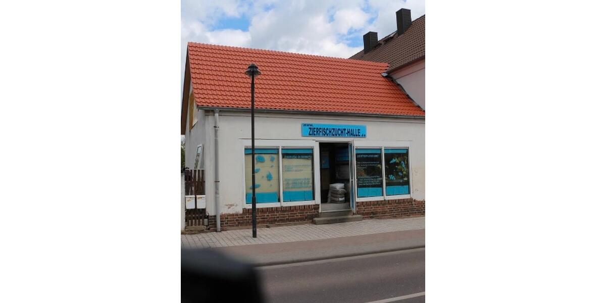 Einfamilienhaus Halle (Saale) Dölau - 5 Zimmer, 90 m&sup2;, 119.000&euro; | Angebot:27123247