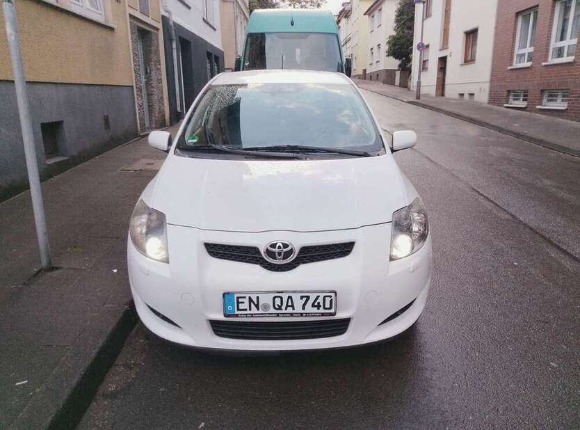 Auris