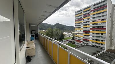 ZENTRAL IM SCHWARZWALD 3 zimmer