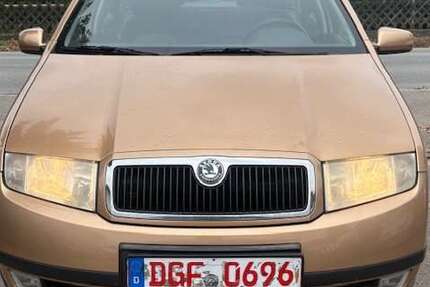 Skoda Fabia 213.421 km 1.900 € Wallersdorf 94522