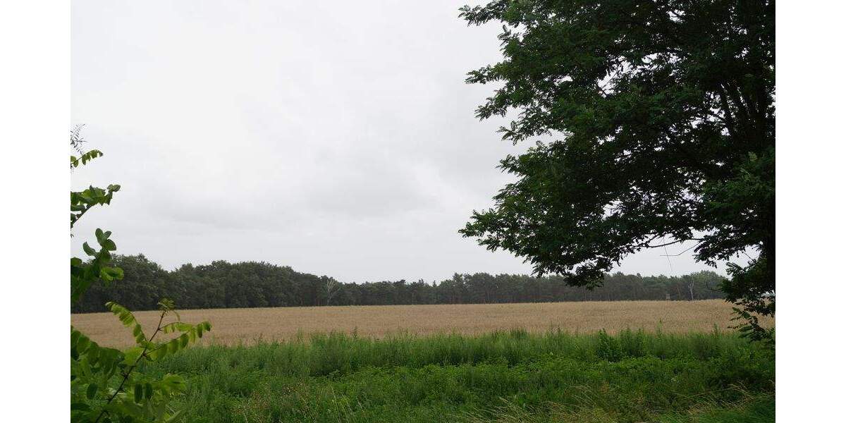 Grundstück Mittenwalde / OT Schenkendorf-Krummensee Krummensee - 799.000&euro; | Angebot:25663576