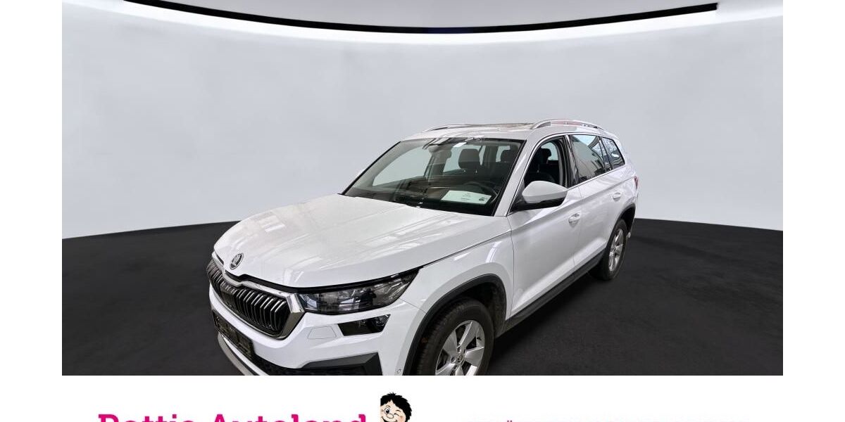 Skoda Kodiaq 94.484 km 39.777 &euro; Hamm 59075