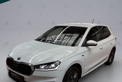 Skoda Fabia 24.200 km 22.390 &euro; Emmendingen 79312