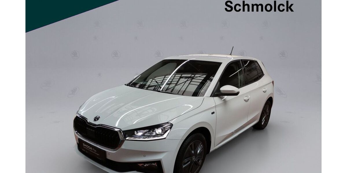 Skoda Fabia 24.200 km 22.390 &euro; Emmendingen 79312