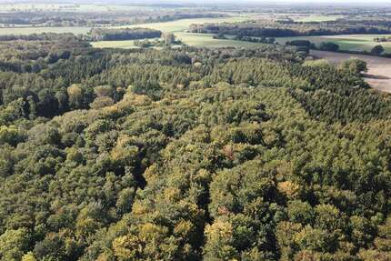 Grundstück in Holdorf 695.000 € 419886 m²