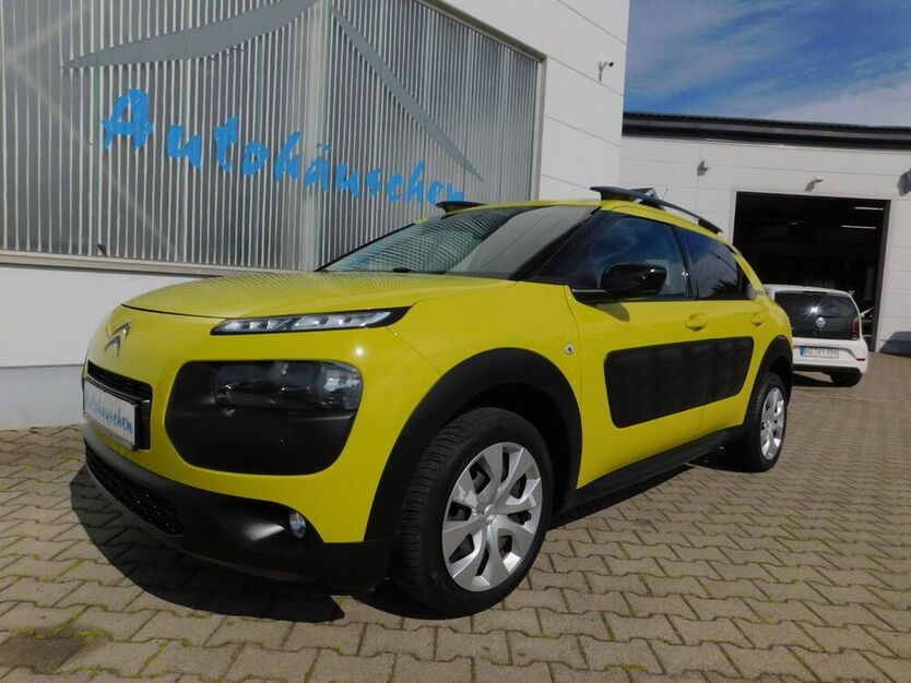 C4 Cactus